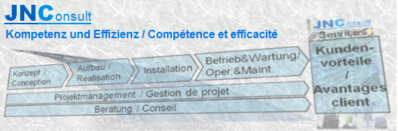 JNConsult Dienstleistungsumfang / périmètre des services / perimetro dei servizi JNConsult (John Nicoara) Dienstleistungen / services / servizi